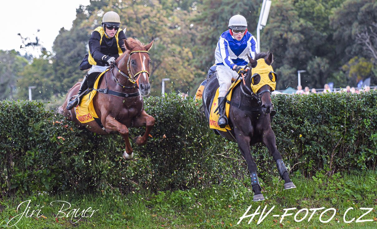 DSC_2966 kopie.jpg